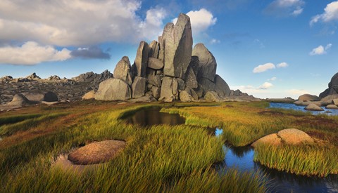 Photo by Jill Hancock