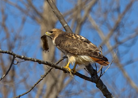 Photo by Jasonkayla2