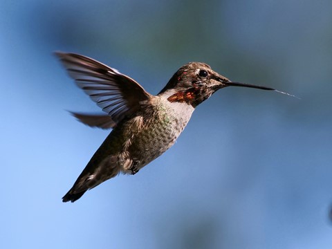 Photo by itsallBb2me