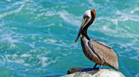 Photo by Shiann Yang