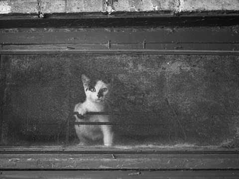 Photo by garylowellshum