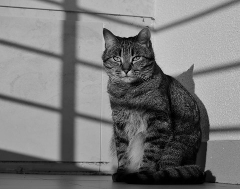 Photo by Ruy hawkeye