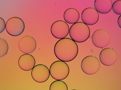 Photo by anirudh00jonnala