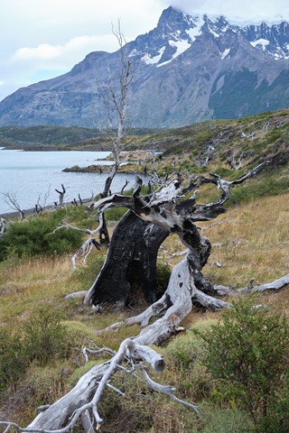 Photo by Propheticus