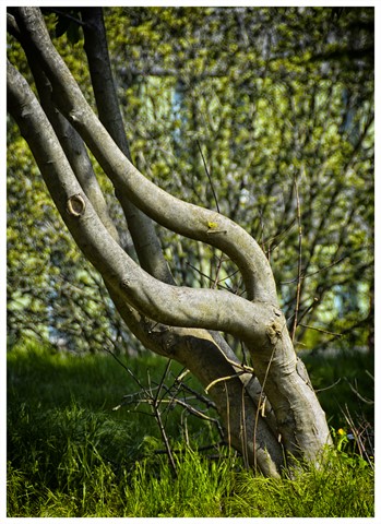 Photo by jonestheroad