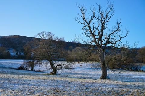 Photo by hectorpatrick