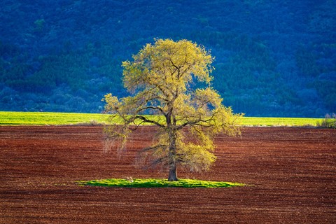 Photo by Mincho Semov