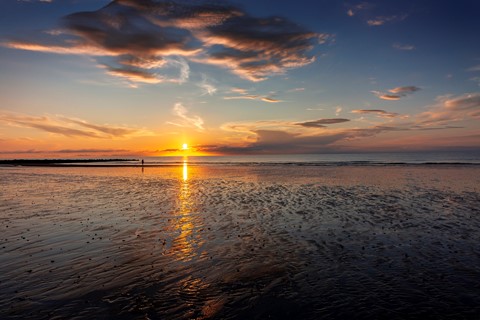 Photo by Tom Vanwynsberghe