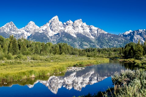 Photo by softmarmotte