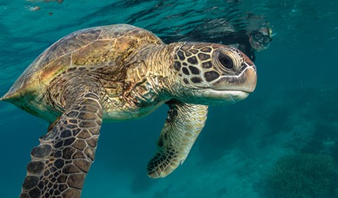 Photo by Chris Kippax