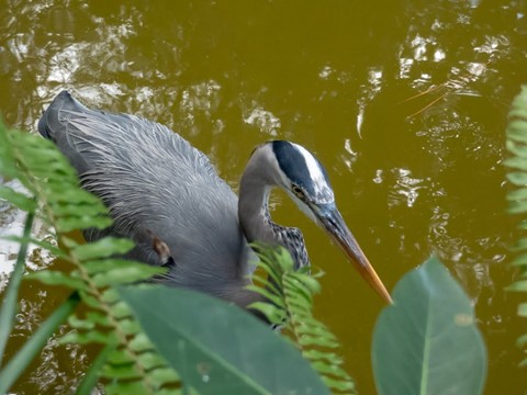 Photo by sergiodaguru