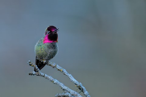 Photo by SpartanWarrior