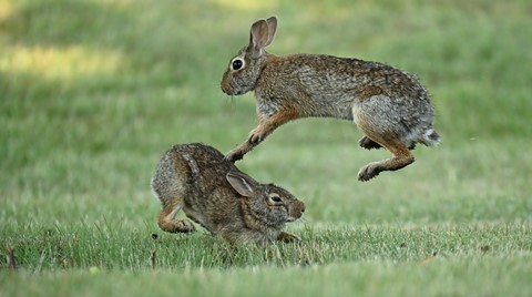 Photo by archerscreek