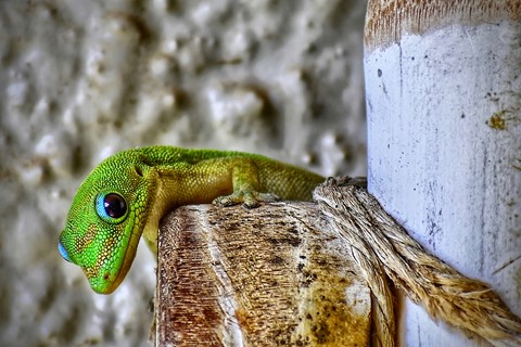 Photo by itsallBb2me