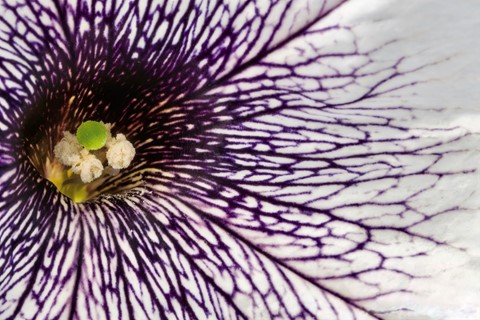 Photo by mreservices