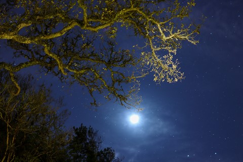 Photo by Ruy hawkeye