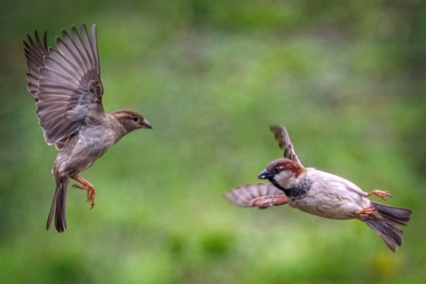 Photo by Outa my way