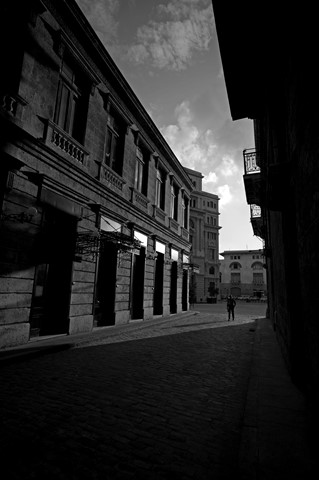 Photo by Miguel Mealha