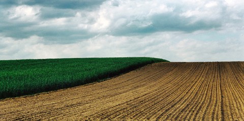 Photo by matthias jurisch