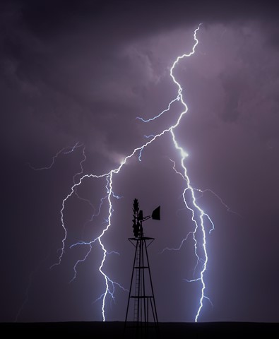 Photo by birdofthegalaxy