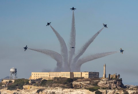 Photo by birdofthegalaxy