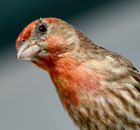 Photo by jacqueparees