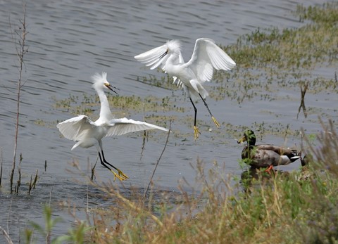 Photo by Just a friendly argument...