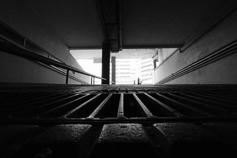 Photo by Miguel Mealha