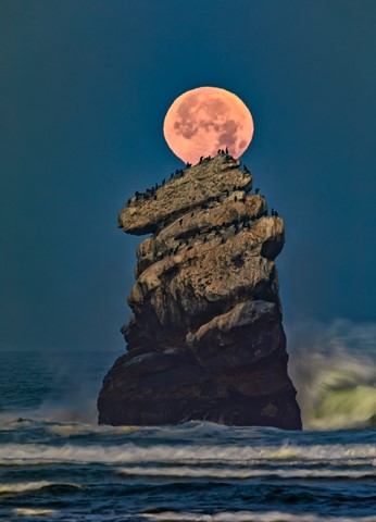 Photo by Jonathan Shapiro