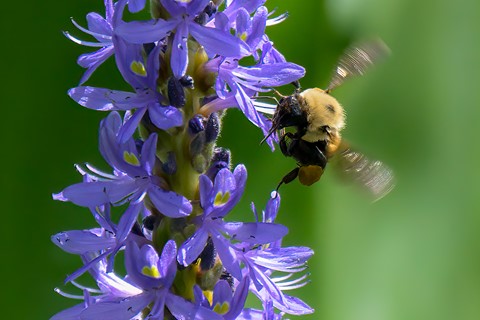 Photo by Sagittarius