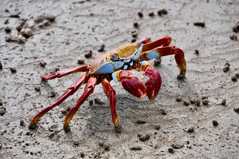 Photo by Mark B Willey