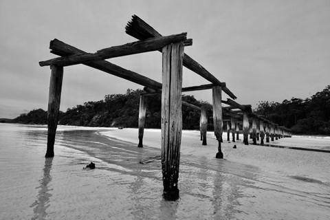 Photo by Mark B Willey