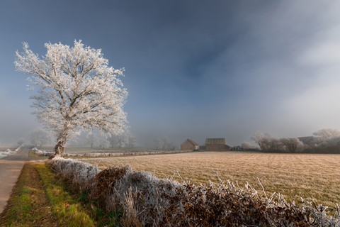 Photo by Bright Winter