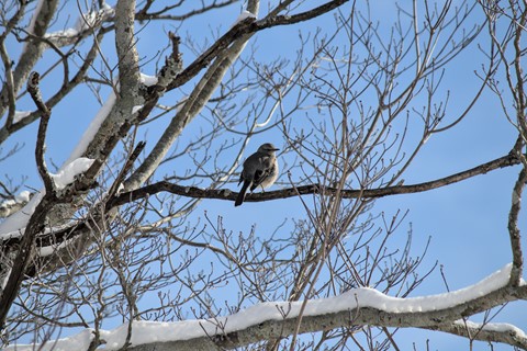 Photo by John L Weatherly