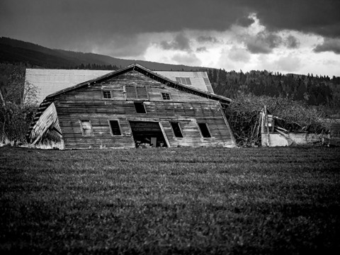 Photo by ScrewyPhoto