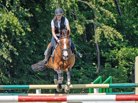 Photo by Jorgen K H Knudsen