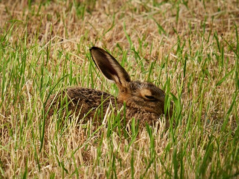 Photo by hectorpatrick