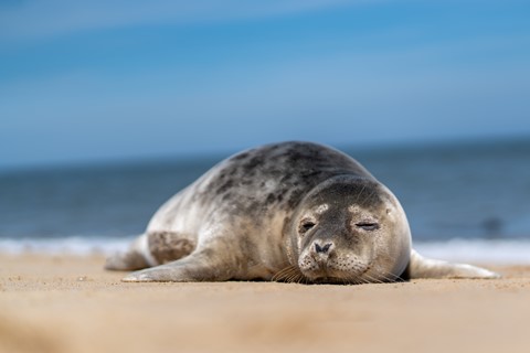 Photo by Vishnu photoplorer