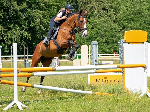 Photo by Jorgen K H Knudsen