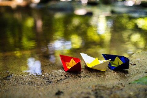 Photo by Daniel Sjolie