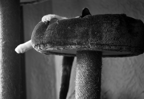 Photo by Monte in the nest