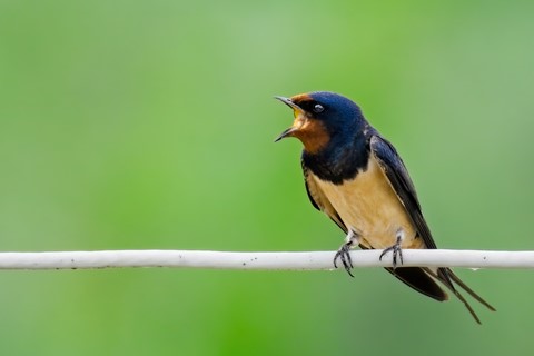 Photo by SpartanWarrior