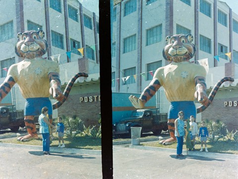 Photo by sergiodaguru