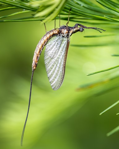 Photo by chromophore