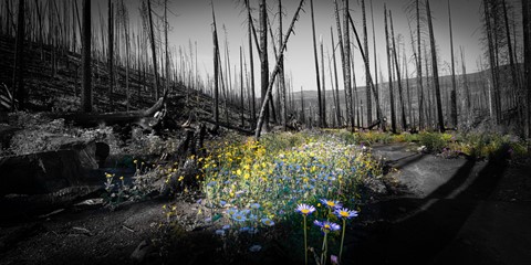 Photo by Richard Carande