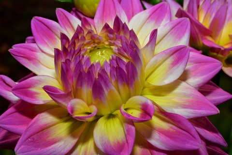 Photo by RANDY WISCH