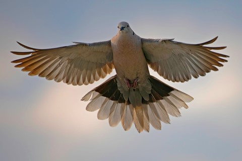 Photo by SpartanWarrior