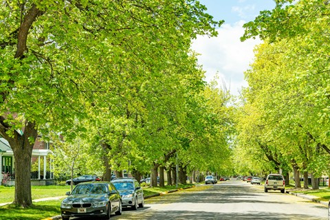 Photo by Missoula Montana USA