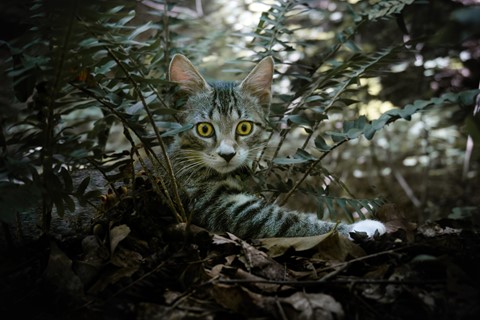 Photo by GodsCreation