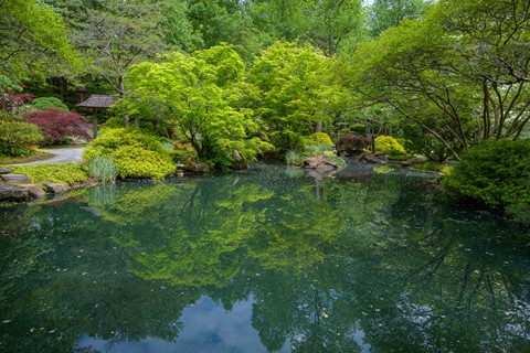 Photo by Sagittarius